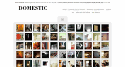 Desktop Screenshot of domesticsocialvision.barcelonaphotobloggers.org