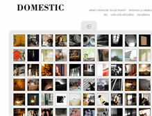 Tablet Screenshot of domesticsocialvision.barcelonaphotobloggers.org